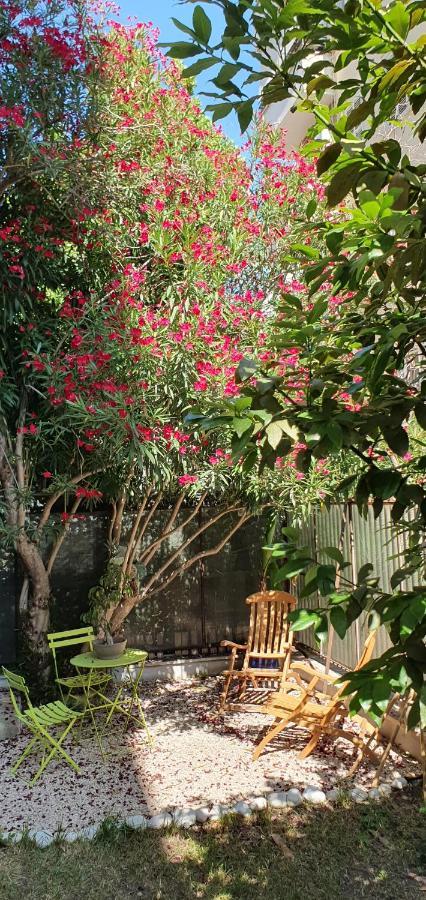 Trastevere Marlu Garden House Apartment Rome Exterior photo